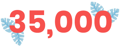 35,000 registrations generated 35,000 registrations generated